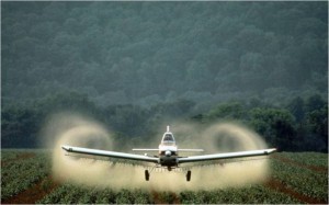 Cropduster